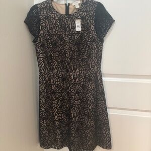 LOFT Black Lace Dress. Size 6. New with Tag on it